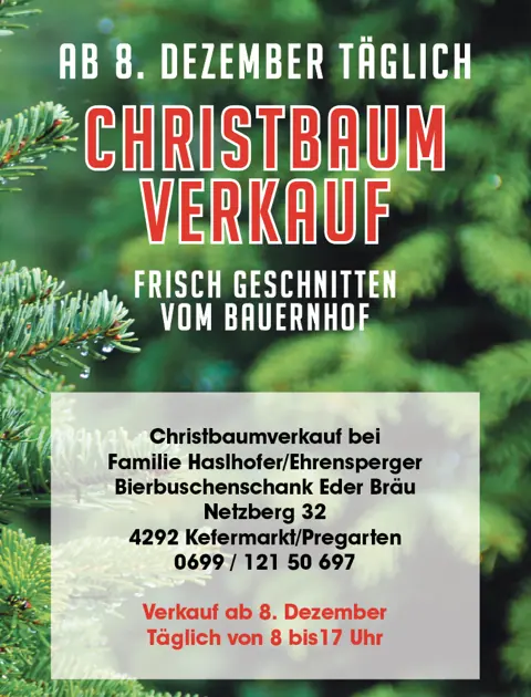 Plakat Christbaumverkauf: ab 8. Dezember täglich, frisch geschnitten vom Bauernhof