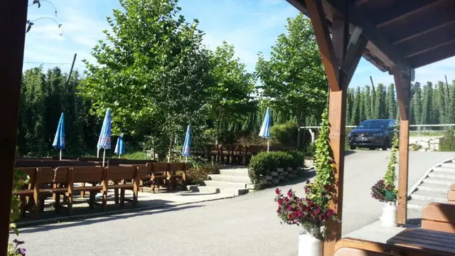 Sonniger Gastgarten mit Holzbänken und Schirmen vor den Hopfengärten